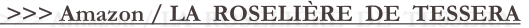 shapeimage_3_link_3